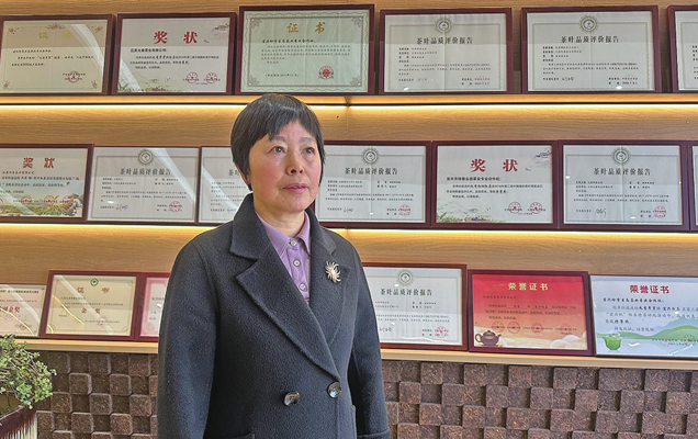 茶園間寫下履職答卷
