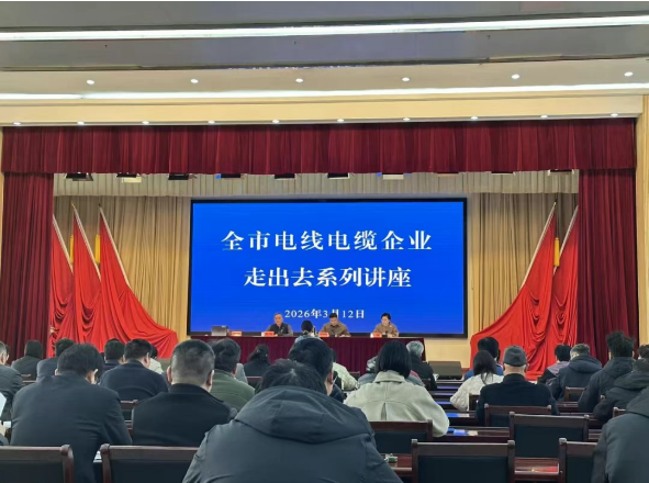“揚帆出海，纜通天下”——官林鎮為線纜企業“走出去”賦能
