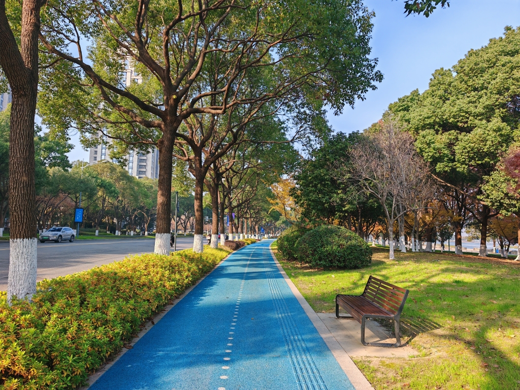 香樟-氿南路