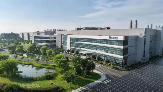以AEO為翼，助力宜興企業馳騁國際市場 