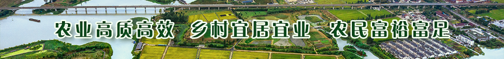 農業高質高效